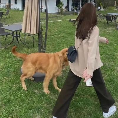 隔离众生相